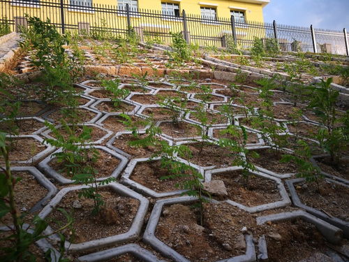 吉林高鐵綠化施工團(tuán)隊(duì) 專(zhuān)業(yè)園林綠化工程的實(shí)踐與價(jià)值