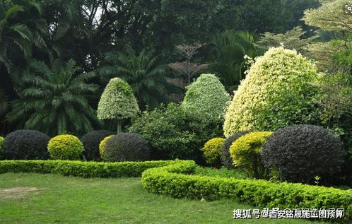 園林綠化工程造價組成及計算依據(jù)分析