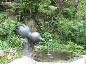 園林與建筑 從設(shè)計到施工的全方位服務(wù)