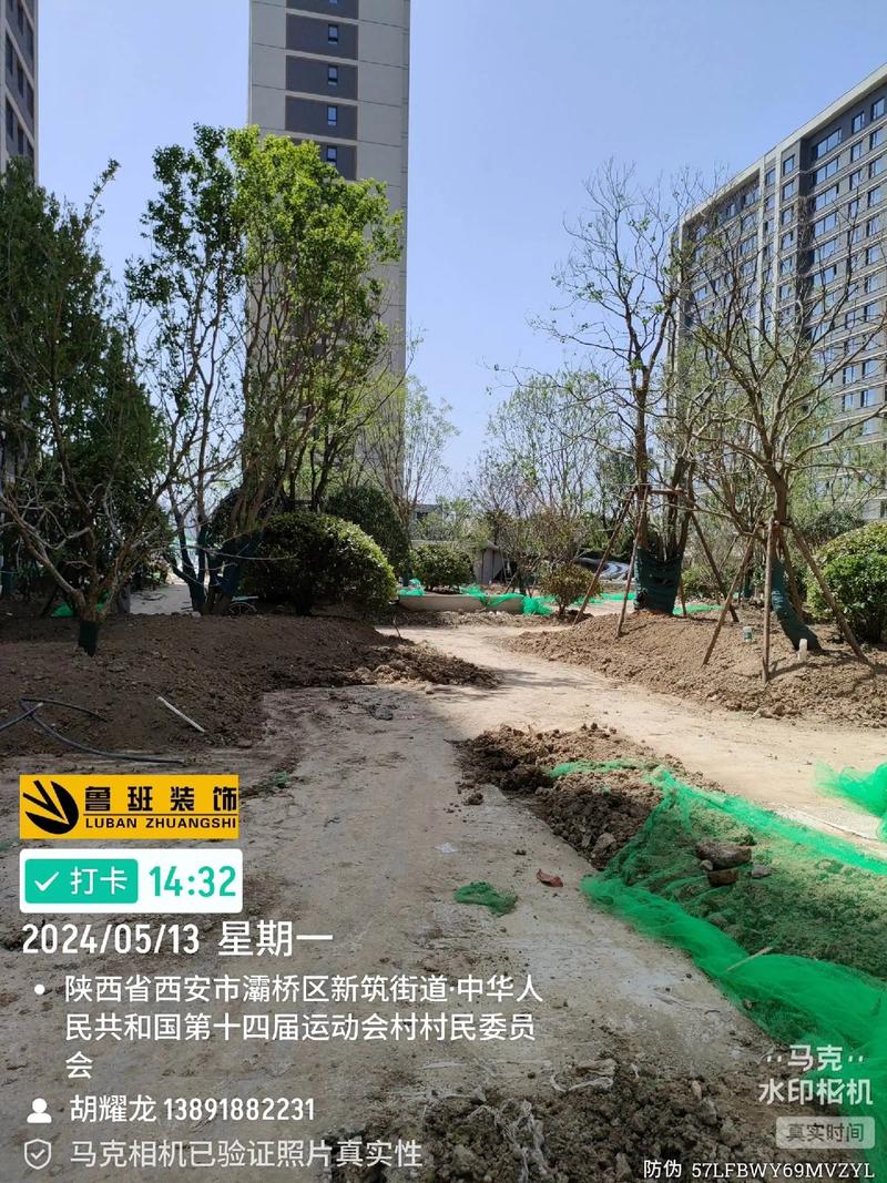 望江城市綠化工程施工現場實拍 精細化管理下的進度與生態之美