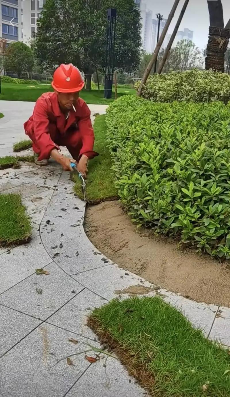 市政園林綠化工程 從精細(xì)化施工到智慧化管理，打造宜居美麗城市