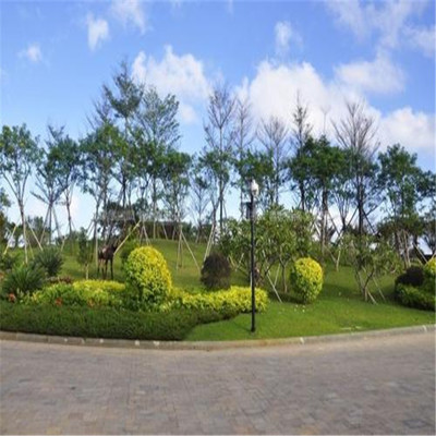 東城園林景觀綠化施工隊(duì) 專(zhuān)業(yè)打造生態(tài)宜居環(huán)境