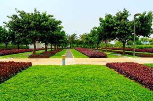 城市綠化工程中需報(bào)驗(yàn)的關(guān)鍵材料與規(guī)范流程