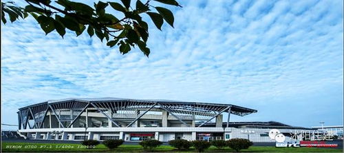 住建局小編和你聊聊 買(mǎi)房時(shí)，別忽略城市綠化管理