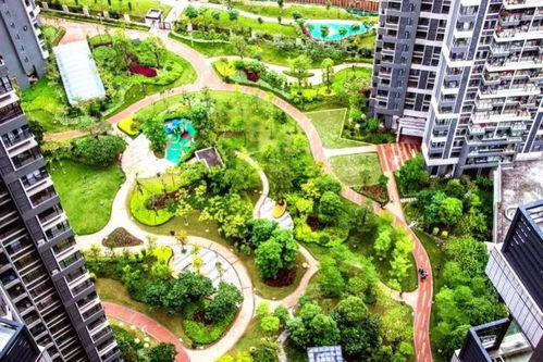 中國(guó)風(fēng)景園林學(xué)會(huì)優(yōu)秀園林工程精品項(xiàng)目回顧與城市綠化管理實(shí)踐